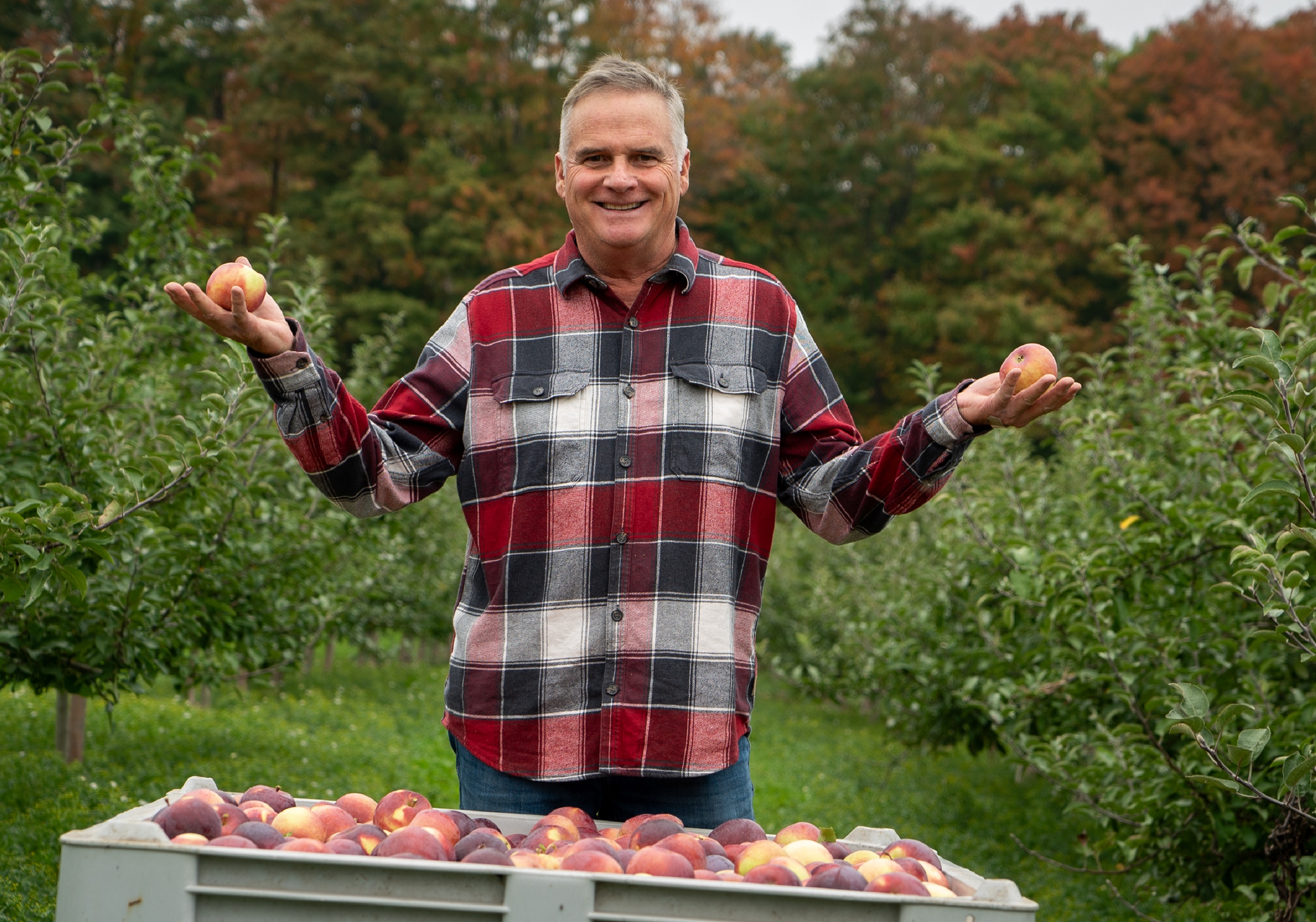 A picture of David Griffiths in the apple orchard holding two apples.