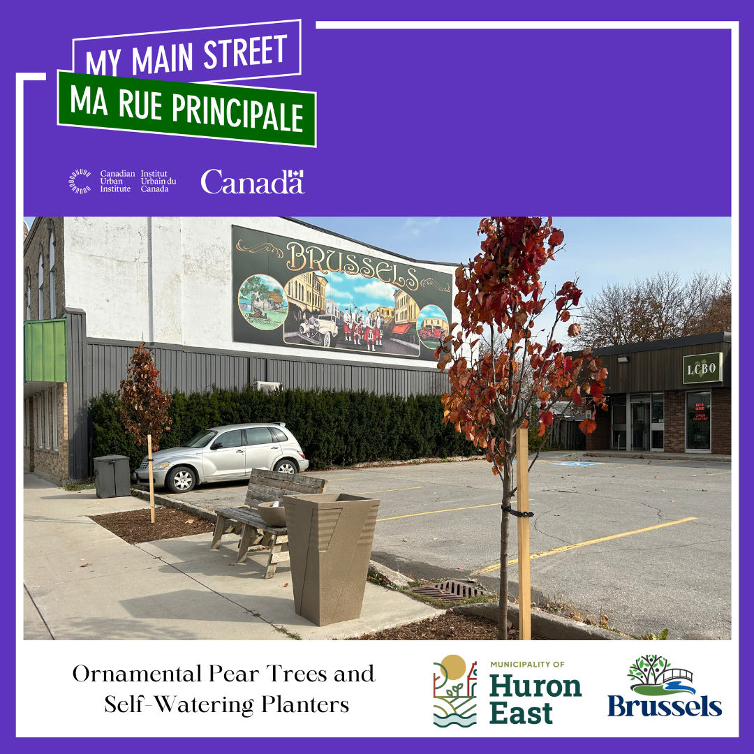 A picture of the two new ornamental pear trees and a planter on the main street with the My Main Street Logo at the top.