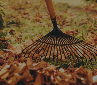 A picture of fall leaves being raked.